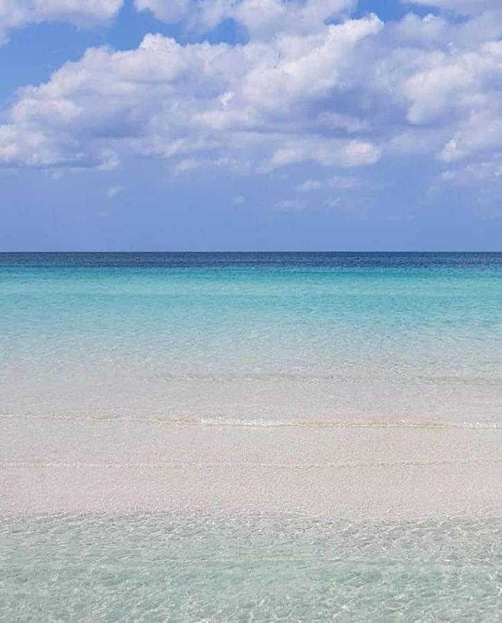 Manidibianco Apulian Relaxing Stay Turi Eksteriør bilde